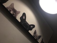 -吃饼人西餐(南开店)