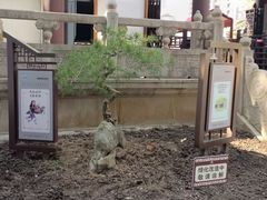 -上海醉白池公园