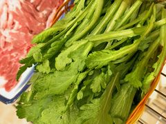 茼蒿-情忆草原涮肉馆
