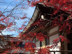 -三千院