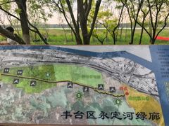 -绿堤公园