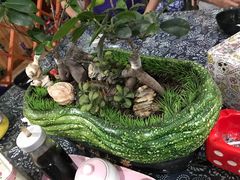 -张干馏(保利江上明珠2期店)