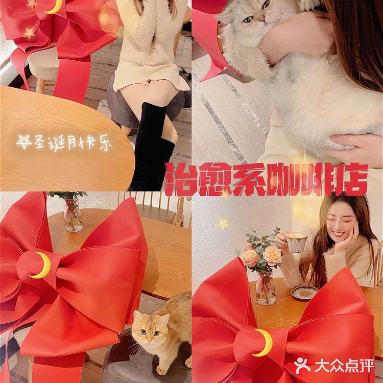 天津🐈探店｜是香软软的小猫咪呀🦷  