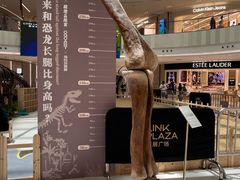 -上海七宝领展广场