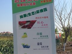 -尚果生态采摘园