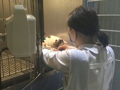-顽皮家族宠物医院(浦东北园路分院)