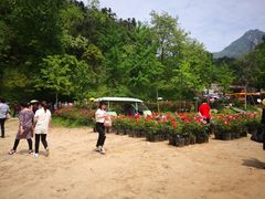 -木兰云雾山