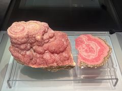 -安徽省地质博物馆