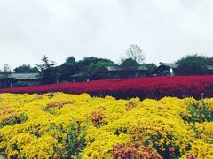 -保利石象湖景区