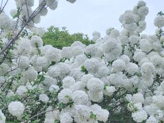 -丰台体育中心·游泳馆