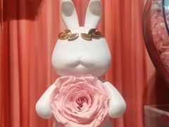 -ROSEONLY诺誓(国际广场购物中心店)