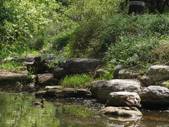 -国家植物园南园