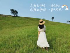 -恋山坝上草原