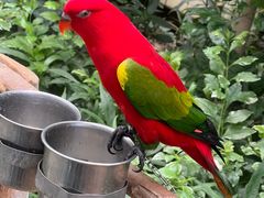 -南宫五洲植物乐园