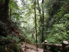 -綦江古剑山