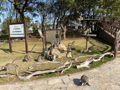 -上海野生动物园