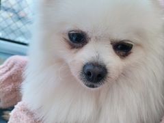 -怪兽屋·羊驼·猫咖·狗咖(俊华广场店)