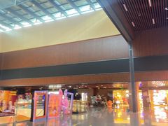 -SFC上影影城(杭州下沙IMAX店)