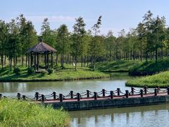 -春花秋色城市公园