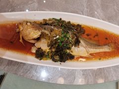 -老绍兴养和饭店(向阳不夜城店)
