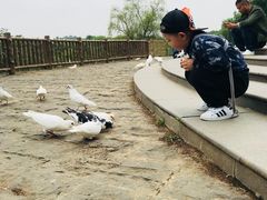-无锡动物园·太湖欢乐园