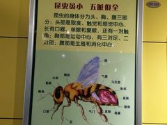 -上海昆虫博物馆