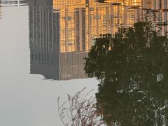 -南翔镇银翔湖公园