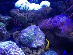 -太平洋海底世界