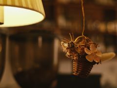 -Ginko银子(青龙街店)