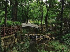 -素山寺森林公园