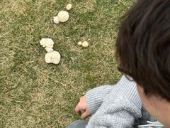 -厦门悦华酒店