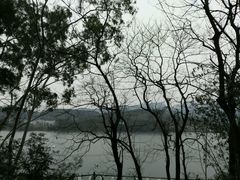 -三门江国家森林公园