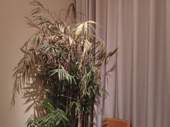 -羊门客在·烤盐池滩羊·川菜