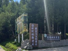 -汤旺河林海奇石景区