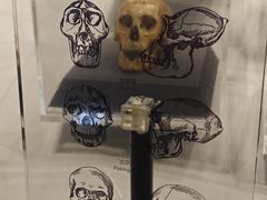 -北京周口店北京人遗址博物馆