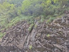 -花溪风景区