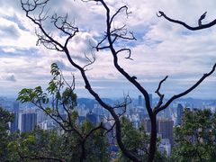 -黔灵山公园