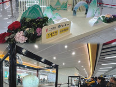-芳村(地铁站)