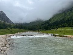 -金鼎雪山牦牛杂火锅(理县总店)