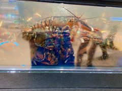 -盒马鲜生(皇庭广场店)