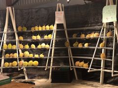 -都念榴莲·城市榴莲