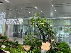 -新浪总部大厦