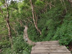 -白草畔自然风景区