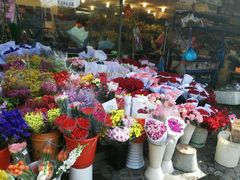 -曲阳花鸟市场(曲阳路店)