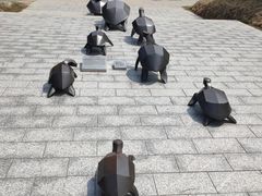 -广东惠东海龟国家级自然保护区