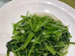 空心菜-金八仙酒店