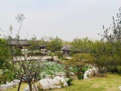 -上海滨江森林公园