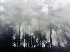 -綦江古剑山