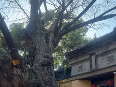 -无锡惠山寺