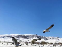 -青海湖国家重点风景名胜区